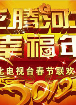 河北卫视2012春晚海报