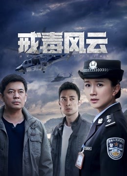 戒毒风云海报