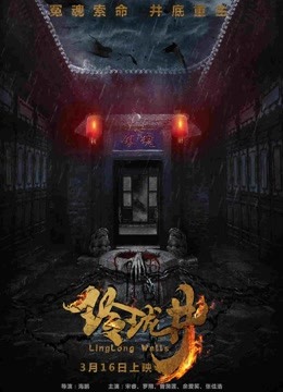 玲珑井海报