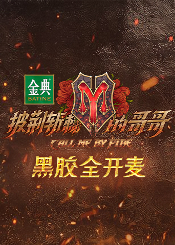 披荆斩棘的哥哥 黑胶全开麦海报