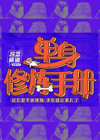 单身修炼手册海报