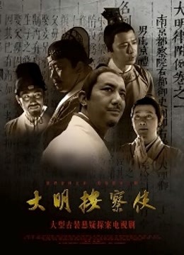 大明按察使35集版海报