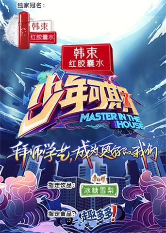 少年可期海报