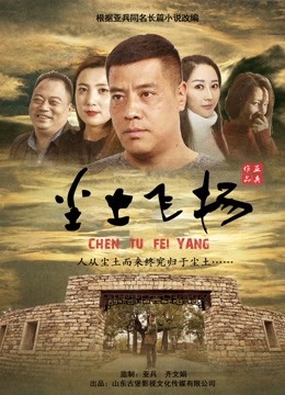尘土飞扬海报