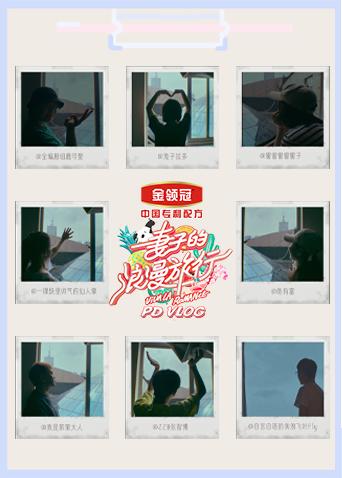 妻子的浪漫旅行4 PDvlog海报