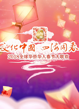 2018湖南华人春晚海报