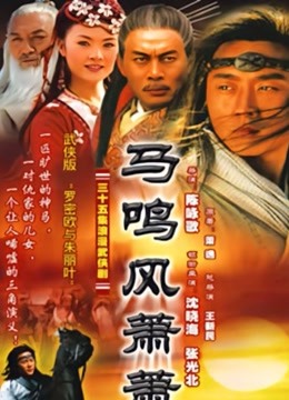 马鸣风萧萧海报