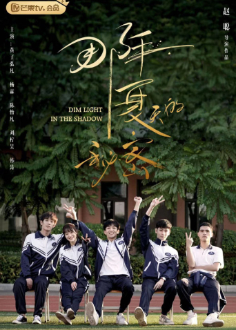 那年夏天的秘密海报