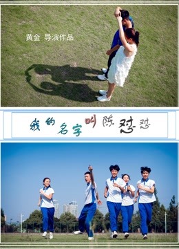 我的名字叫陈怼怼海报