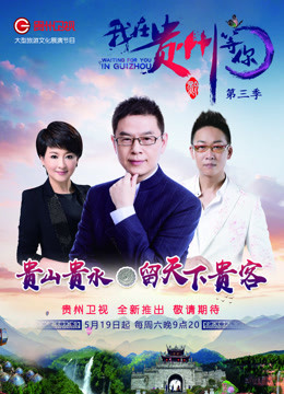 我在贵州等你第三季海报