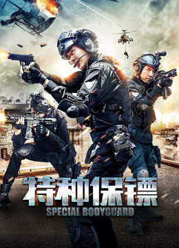 特种保镖海报