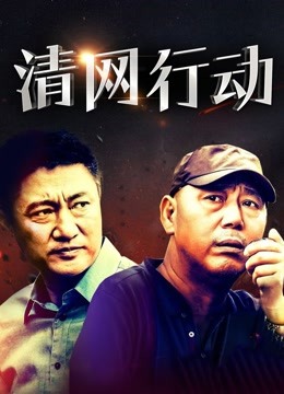 清网行动海报