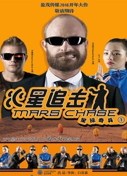 火星追击海报