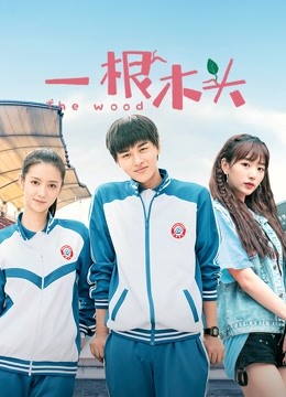 一根木头第一季海报