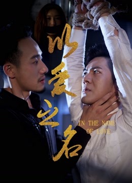 以爱之名海报