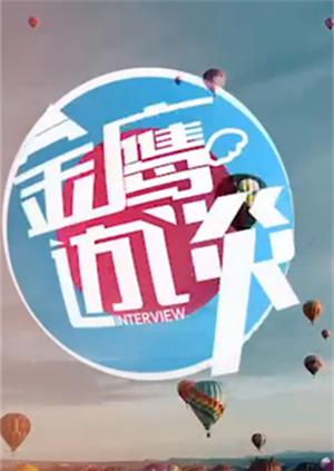 金鹰访谈 2013海报