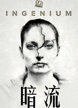 暗流（2018）海报