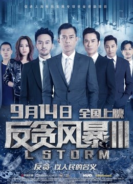 反贪风暴3（粤语）海报