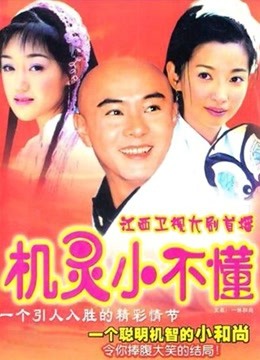 机灵小不懂海报