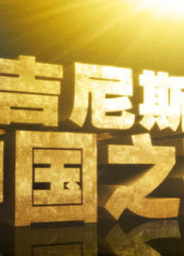 吉尼斯中国之夜海报
