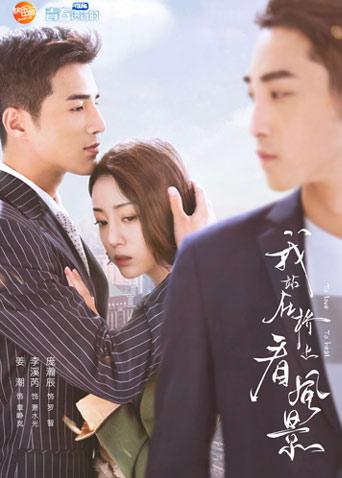 我站在桥上看风景 DVD版海报