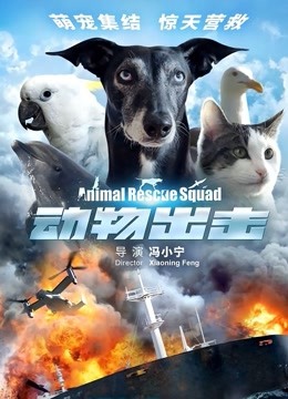 动物出击海报