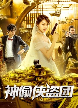 神偷侠盗团海报