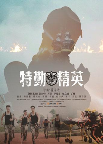 特勤精英 DVD版海报