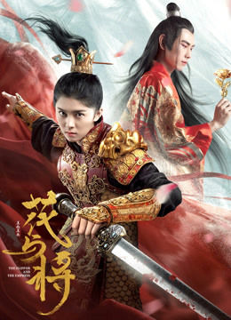花与将海报