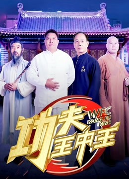 功夫王中王第三季海报