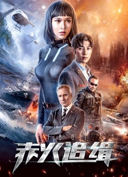 赤火追缉海报