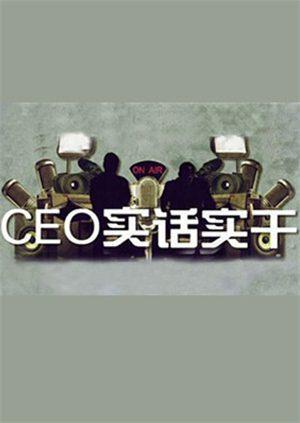 CEO实话实干 2010海报