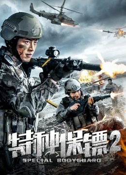 特种保镖2海报