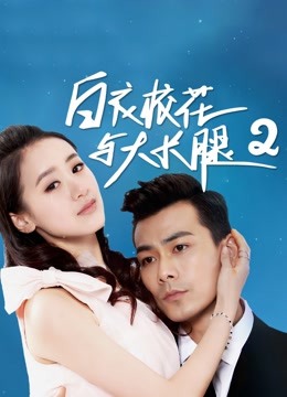 白衣校花与大长腿2海报