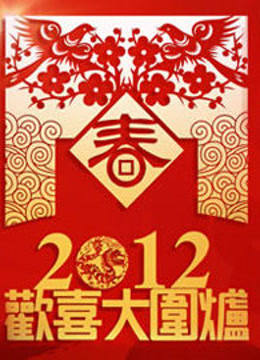 厦门卫视2012春晚海报
