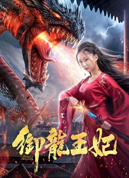 御龙王妃海报