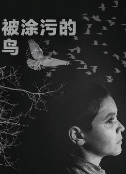 被涂污的鸟海报