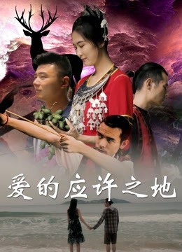 爱的应许之地海报