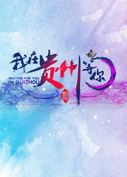 我在贵州等你第二季海报