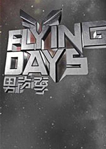 Flying Days 2010海报