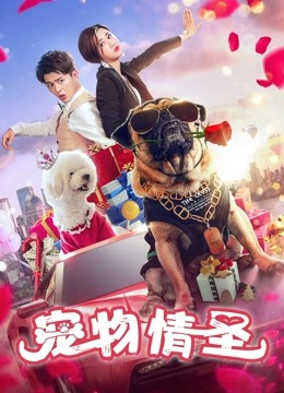 宠物情圣海报