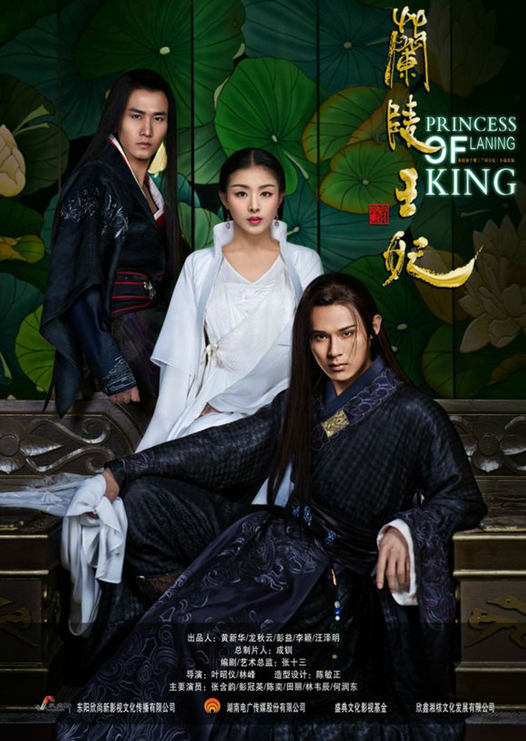 兰陵王妃 DVD版海报