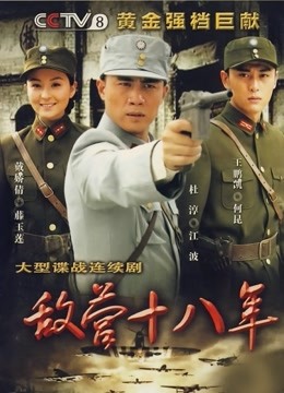 敌营十八年第一部海报
