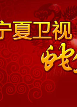 宁夏卫视2013春晚海报