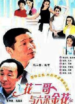 花二哥与六朵金花海报