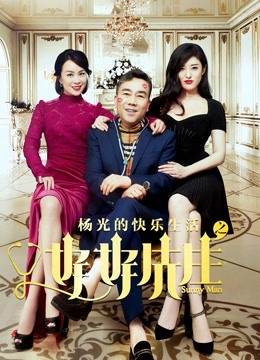 杨光的快乐生活之好好先生海报