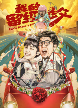 我的留级岳父海报