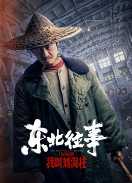 东北往事：我叫刘海柱海报