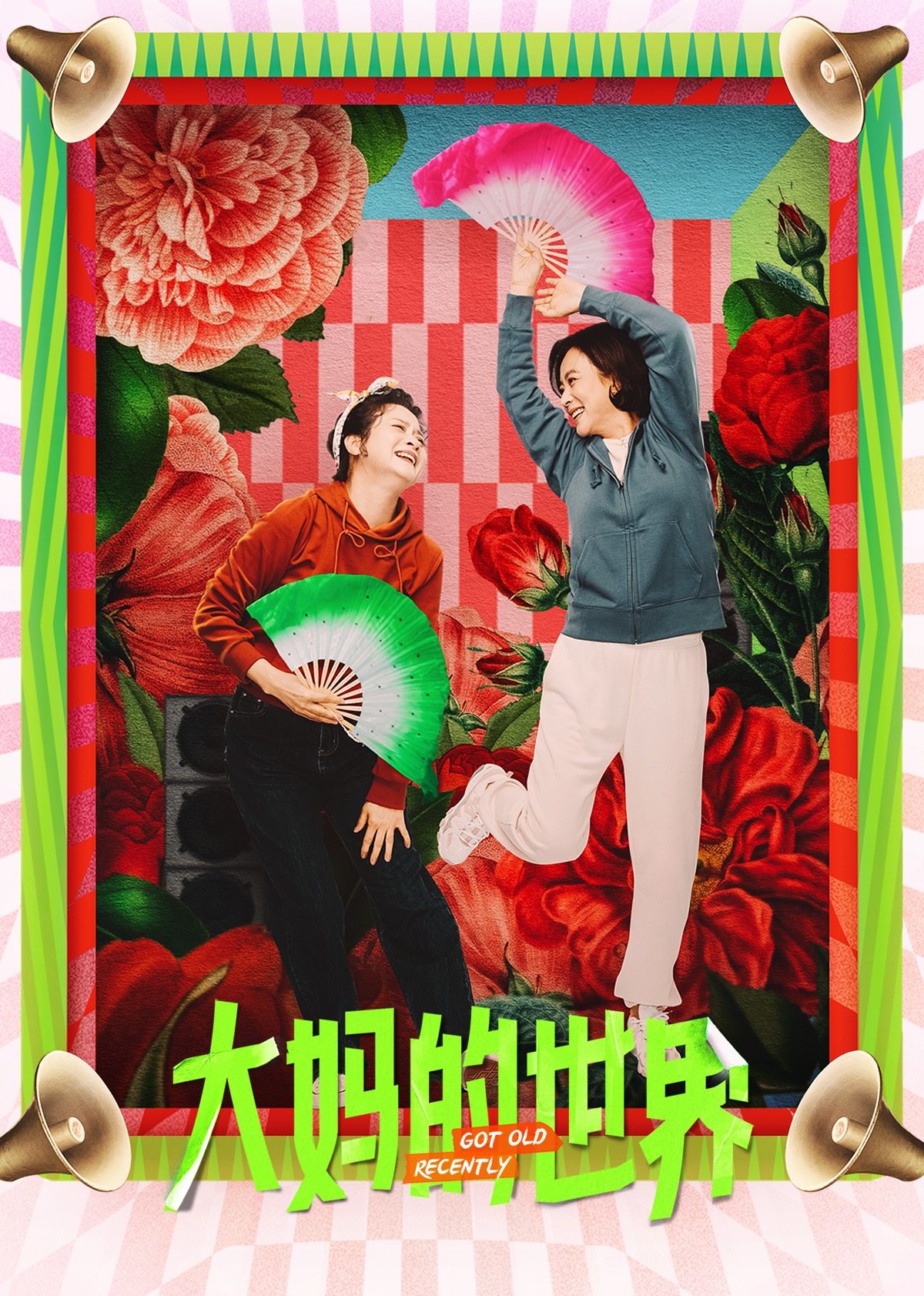 大妈的世界海报