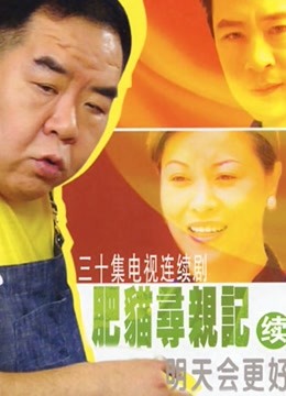 肥猫寻亲记2海报
